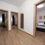 Vakantiehuis Dvori Dida Drage