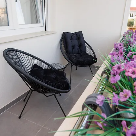 Dvori Dida Drage 度假居